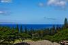 500 KAPALUA DR Unit 20V-2, Lahaina HI 96761